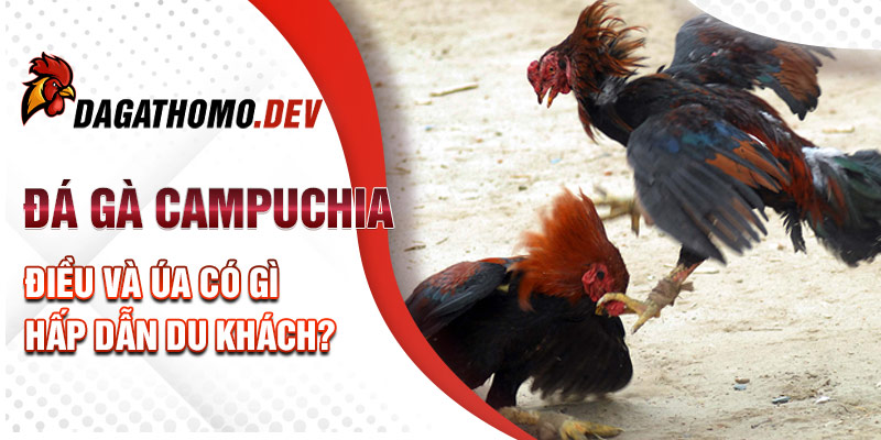 Đá gà Campuchia - Điều và Úa có gì hấp dẫn du khách?